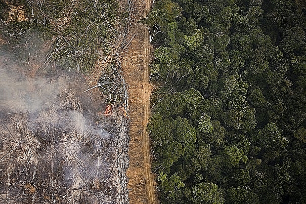 Desmatamento da Amazônia reduz oferta de água para população de São Paulo