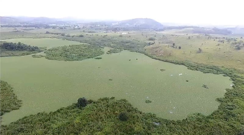 Pantanal Iguaçuano