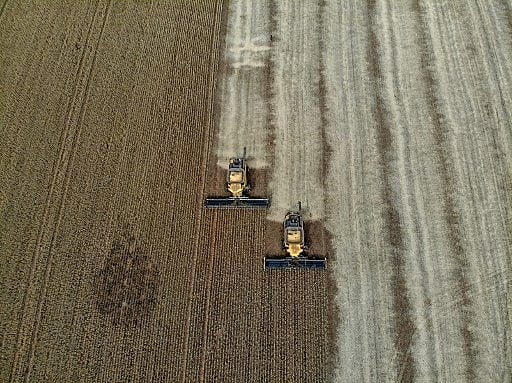Agro é pop? Devastação ambiental, fome e inflação: entenda por que o modelo é insustentável