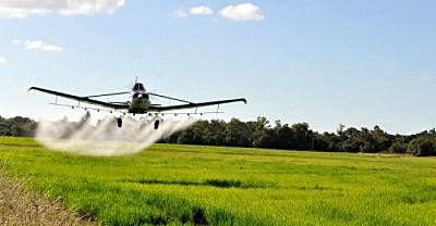 Em 10 anos, fazendeiros jogaram agrotóxicos sobre 30 mil hectares da Amazônia, mostra estudo