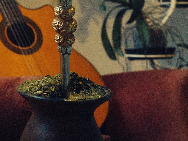Diurética e estimulante: erva-mate é parte da identidade cultural de um povo