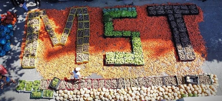38 anos do MST: resiliência e criatividade da luta pela reforma agrária