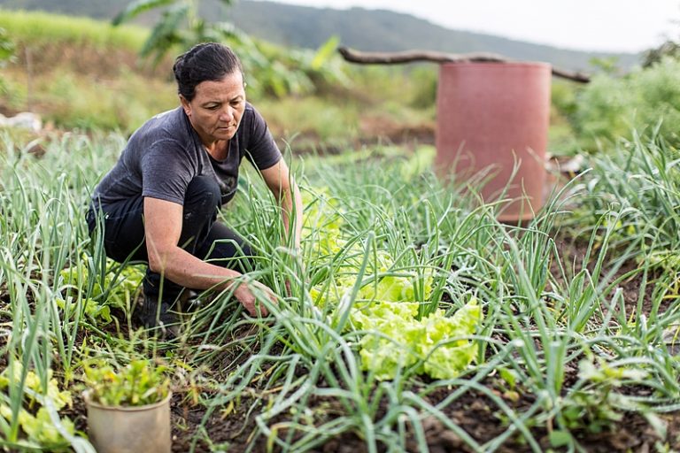 Conab vai destinar cerca de R$ 14 milhões para agricultura familiar no RS via PAA