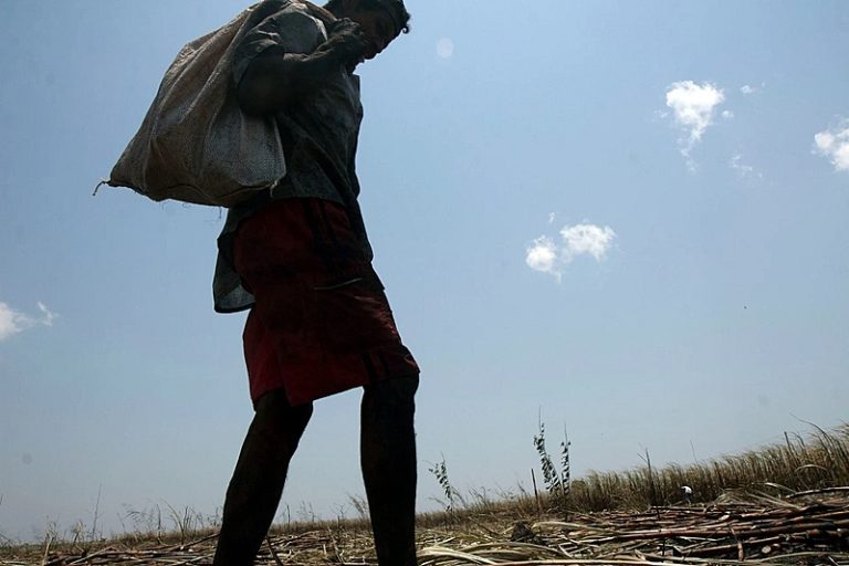 Em 2023, 3.190 pessoas foram resgatadas da escravidão no Brasil; maior número desde 2009