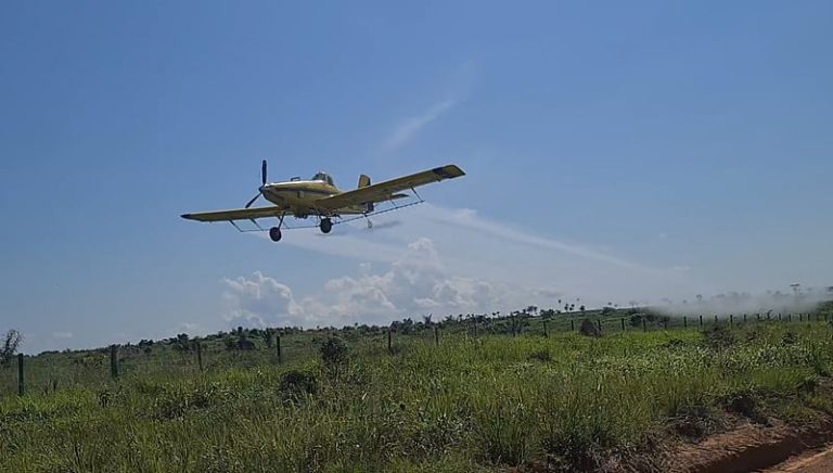 Comunidades quilombolas contaminadas por agrotóxicos lutam pela preservação da ancestralidade