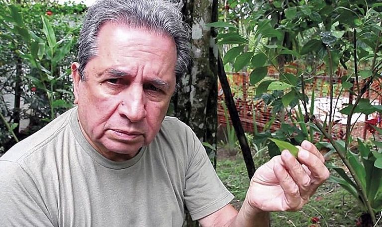 “O futuro é orgânico, porque o que está matando hoje é alimentação”, afirma médico naturalista
