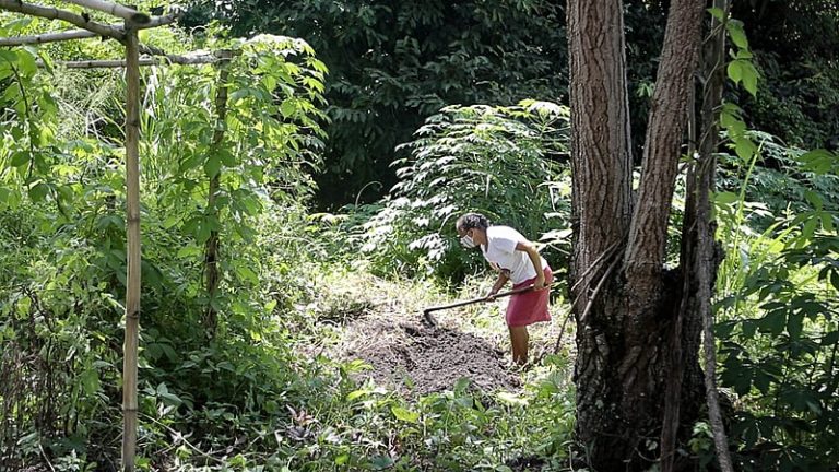 “Amor de plantar”: mulheres expandem agroecologia em áreas impactadas pelo complexo de Suape