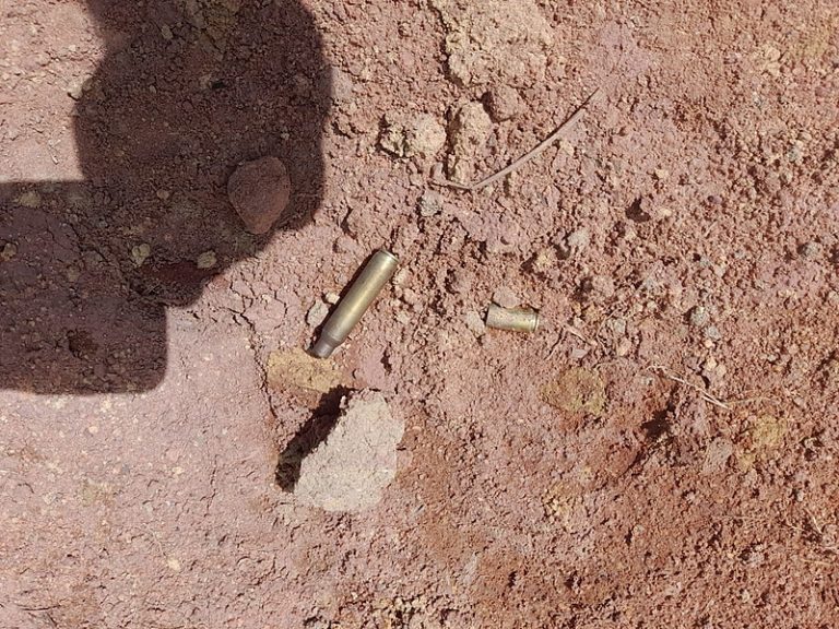 Dois jovens indígenas Pataxó são assassinados no Extremo <mark class='ep-highlight'>Sul</mark> da <mark class='ep-highlight'>Bahia</mark>