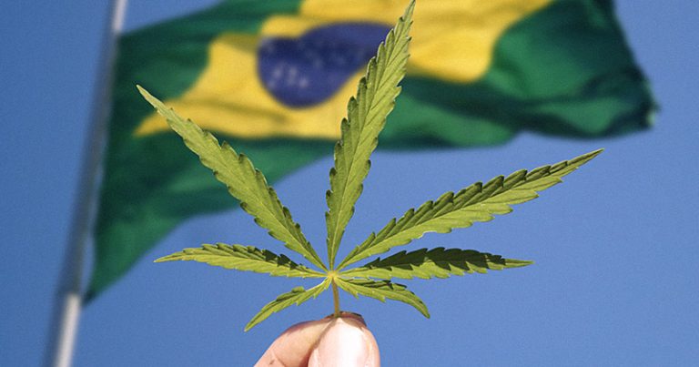 Associação celebra ampliação das regras para uso da maconha medicinal: 'Fruto de muita luta'