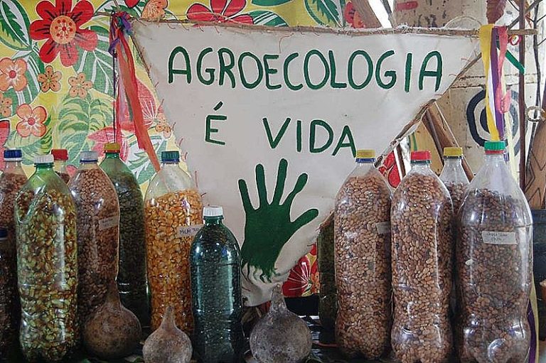 Vozes Populares | A produção agroecológica como um caminho para o combate à fome