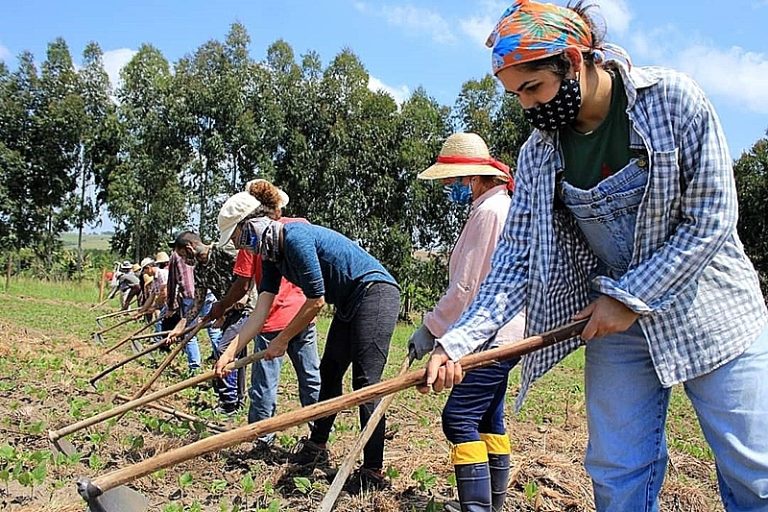 Brazil Without Hunger: know the country’s new governmental program