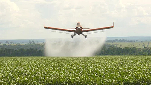 Contaminação por agrotóxicos: conflitos atingem 5,6 mil famílias no primeiro semestre, diz CPT