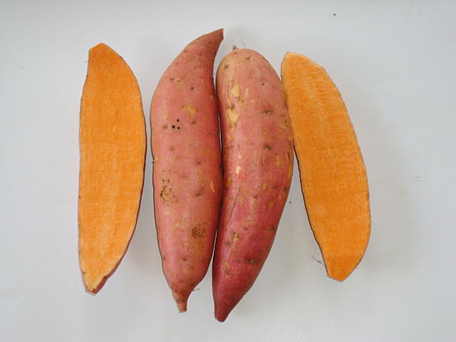 ‘Nas Ramas da Esperança’ promove cultivo de batata-doce biofortificada no sertão de PE