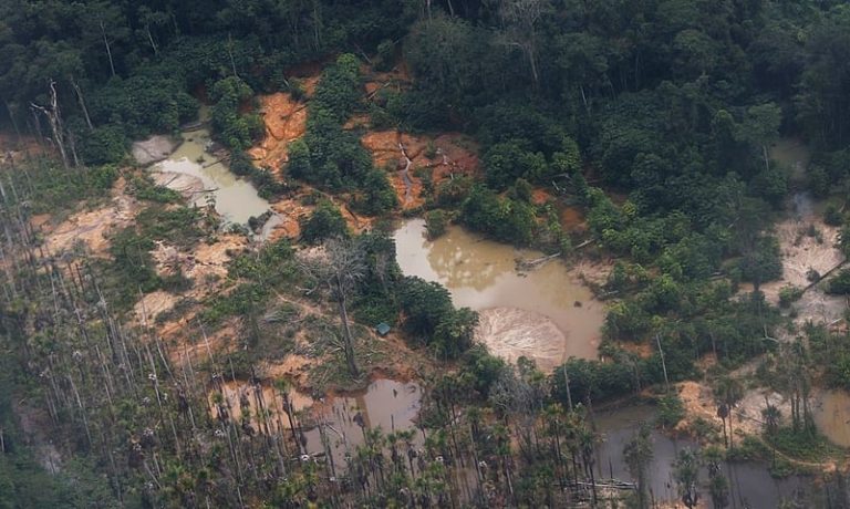Ruralista Tereza Cristina vai presidir GT para regulamentar mineração em terras indígenas