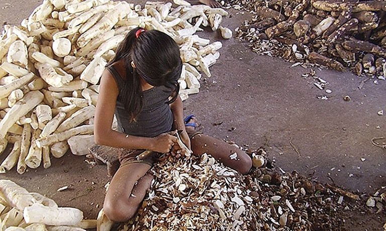 Em 20 anos, 980 crianças e adolescentes foram resgatadas de trabalhos degradantes no Brasil