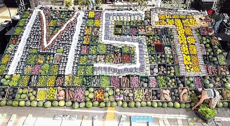 Rice, beans and revolution: the MST prepares for the Agrarian Reform Fair