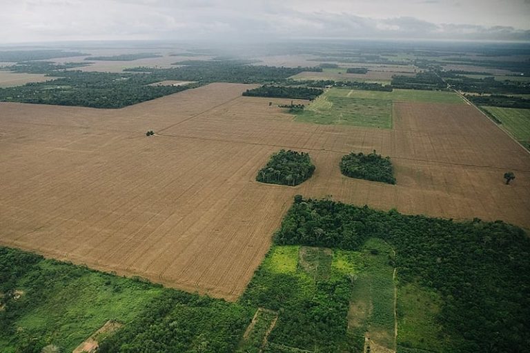 A encruzilhada ambiental de Lula: refém do PIB, governo atrasa agenda ecológica