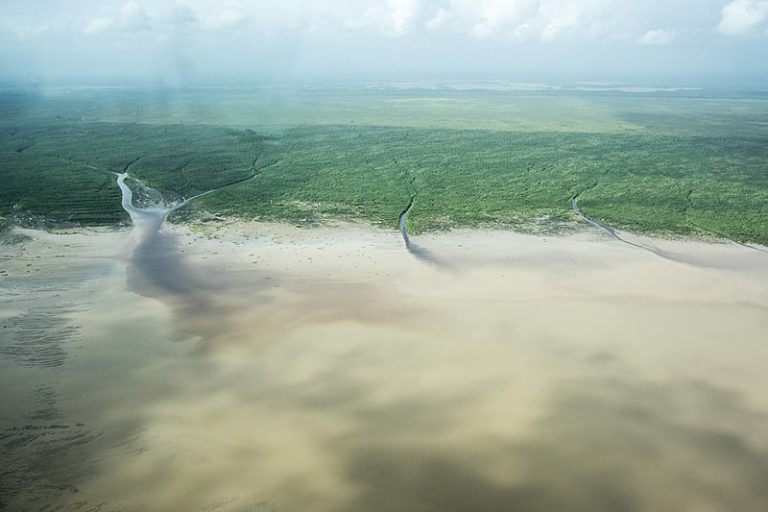 Ibama investiga perda de fluido de poço de petróleo na Foz do Amazonas; instituto aponta riscos