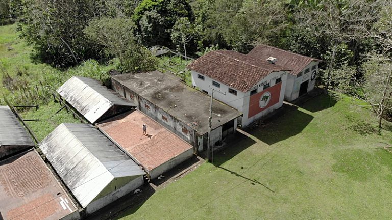 Marcos Palmeira exalta cacau do MST em premiação da Globo; assista filme do BdF sobre o tema