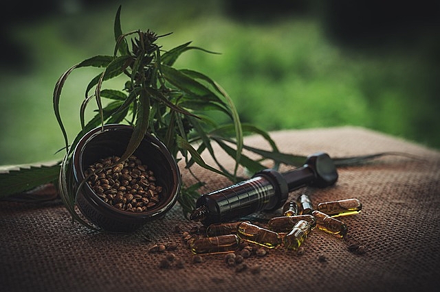 'Proibição da cannabis tem uma economia que gira para o extermínio da vida', diz especialista