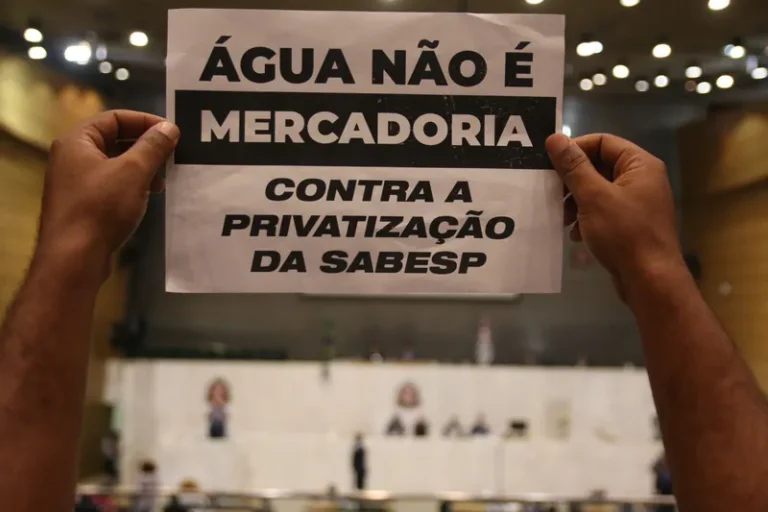 How privatizations contribute to increase inequality in Brazil and the world
