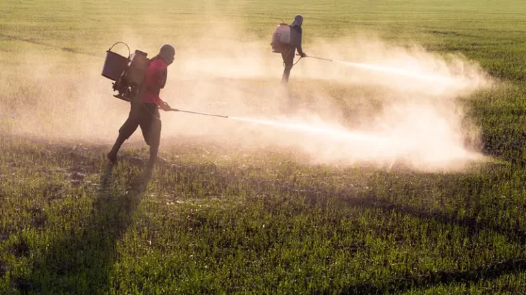 Registros de contaminação por agrotóxicos no Brasil aumentam 950% em 2024 