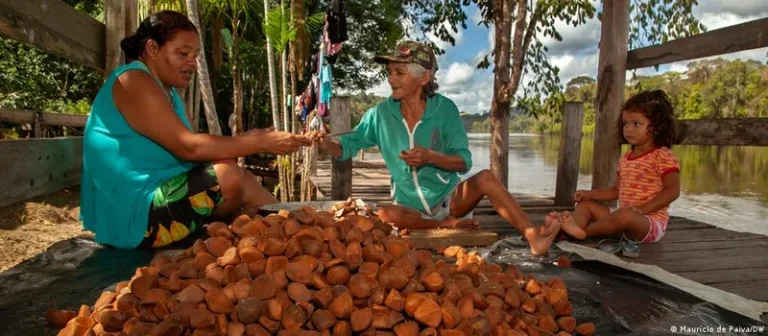 Biocosméticos são modelo de exploração sustentável na Amazônia