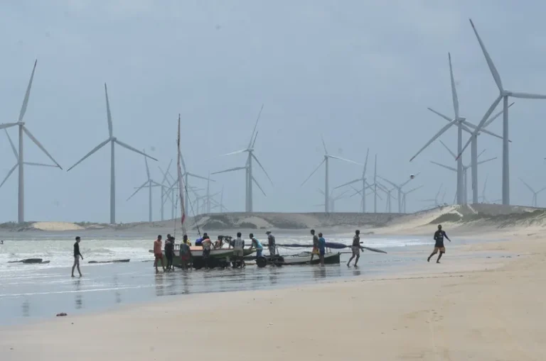 Comunidades do Nordeste propõem mais de 100 medidas para reduzir impactos de parques eólicos