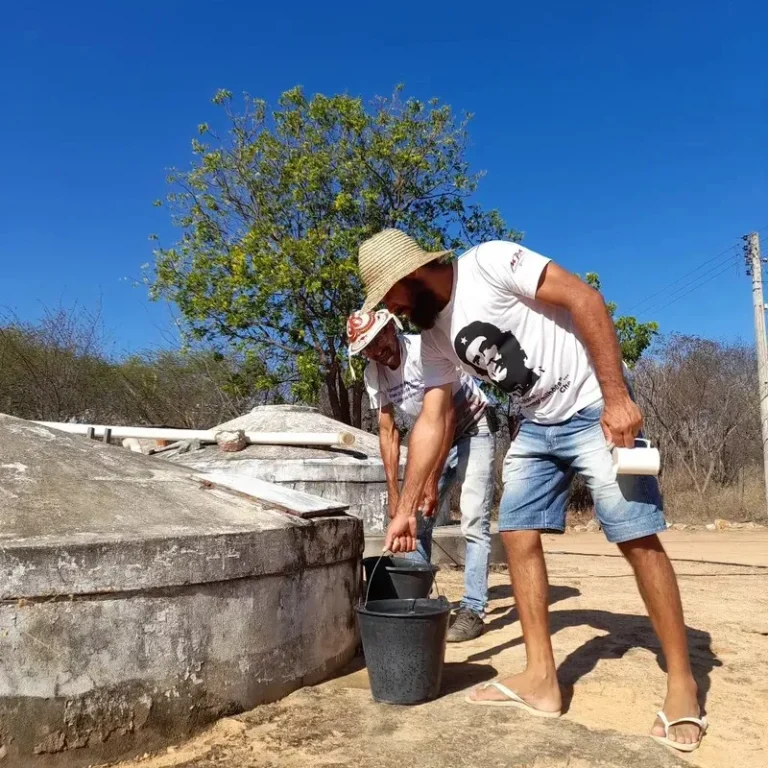 El Niño agrava período de seca no Nordeste, e agricultores buscam saídas para manter produção