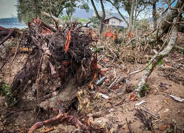 Penha, em Santa Catarina, atropela lei ambiental para virar 'Orlando brasileira'