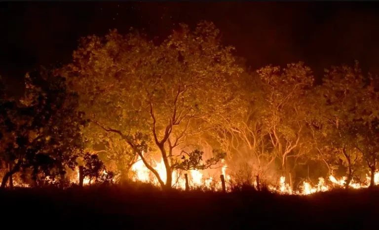 'Estamos num omento de crise climática', diz membro do Greenpeace sobre incêndios em Roraima