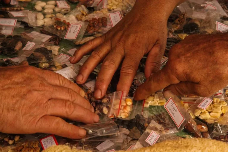 Quilombola farmers: the wound of historical marginalization