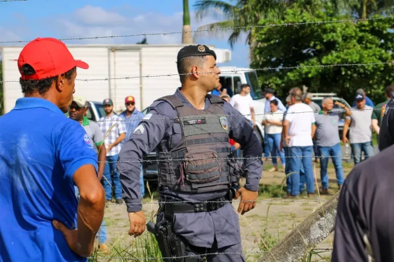 Assassinatos no campo diminuem, mas conflitos são os mais numerosos desde a redemocratização