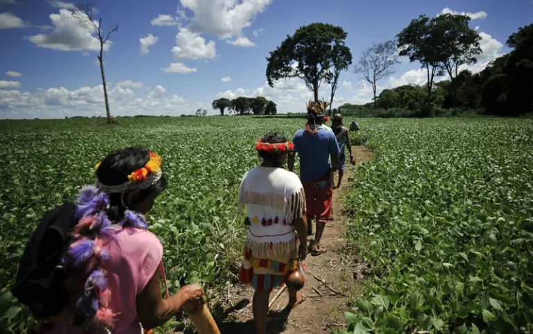 Indígenas do Mato Grosso do Sul são os mais explorados por trabalho escravo
