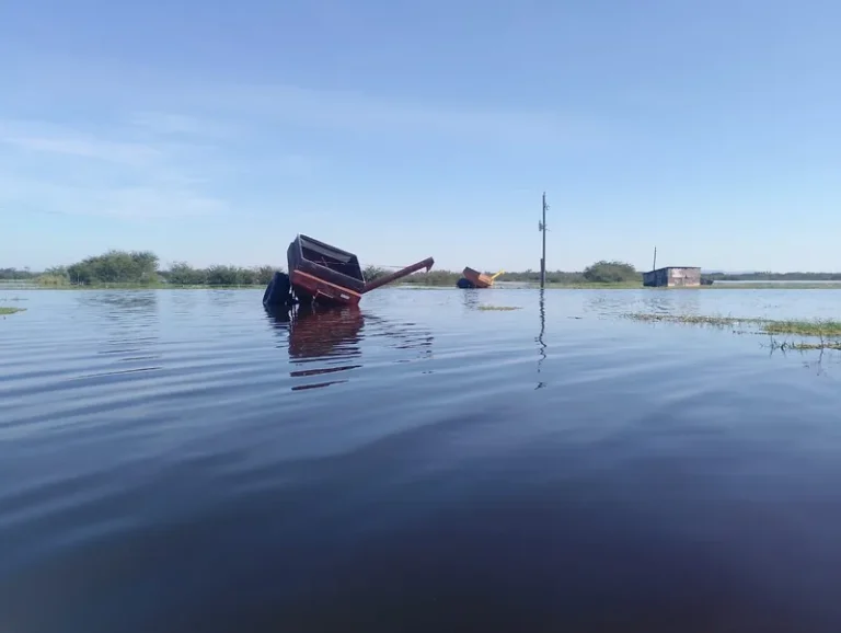Enchente no Sul arrasa lavouras de arroz orgânico do MST