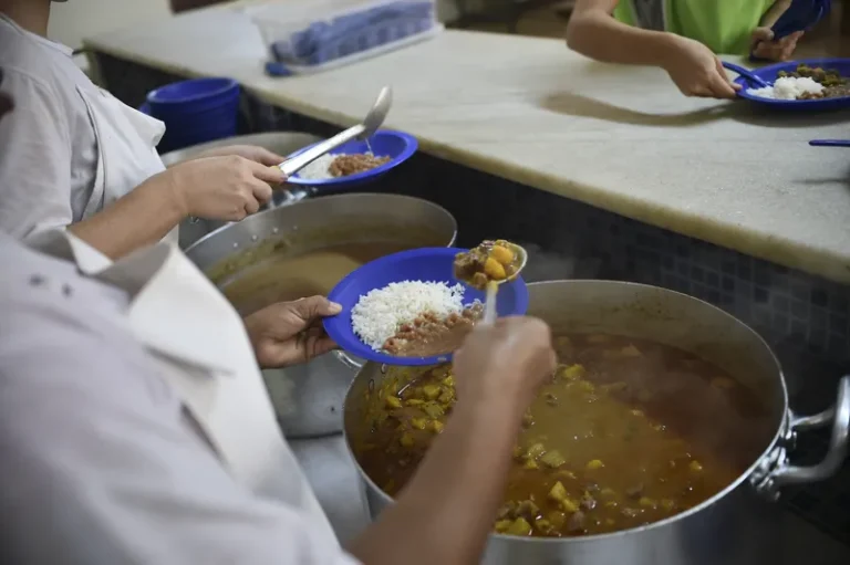 Após larva em prato, Conselho de Alimentação aponta má qualidade da merenda escolar no DF