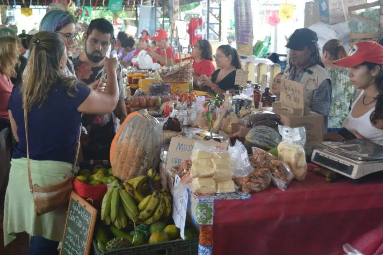 Alimentação, política e cultura: MST realiza feira estadual da Reforma Agrária em Campinas (SP)