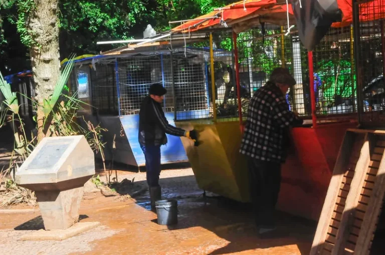 Artesãos da Praça da Alfândega contabilizam prejuízos e aguardam retomada da feira 