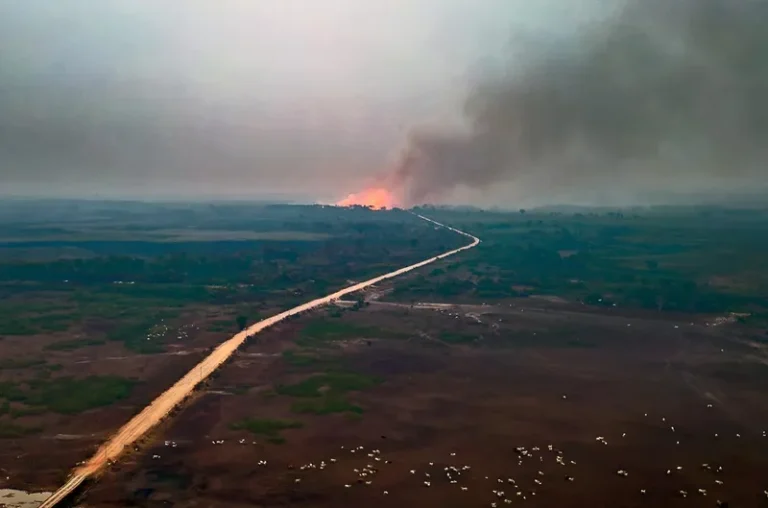 Agribusiness, cattle and dams: find out the causes of drought and fires in the Pantanal