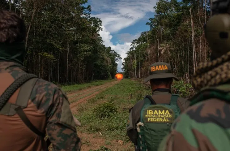Elon Musk: Governo apreende 50 antenas Starlink em garimpos ilegais na terra Yanomami