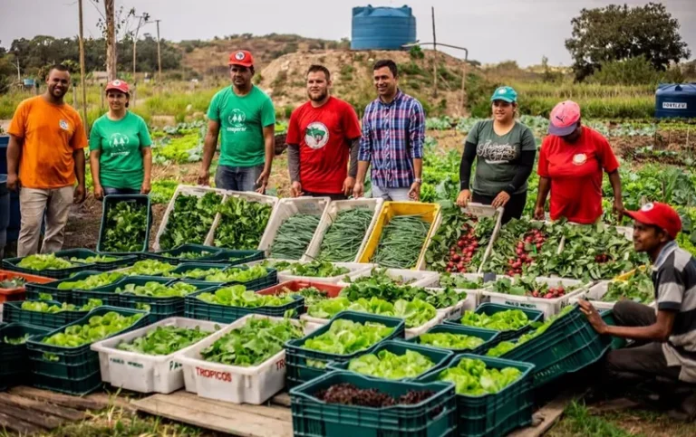 'The people don't understand how important family farming is,' says coordinator of the MST