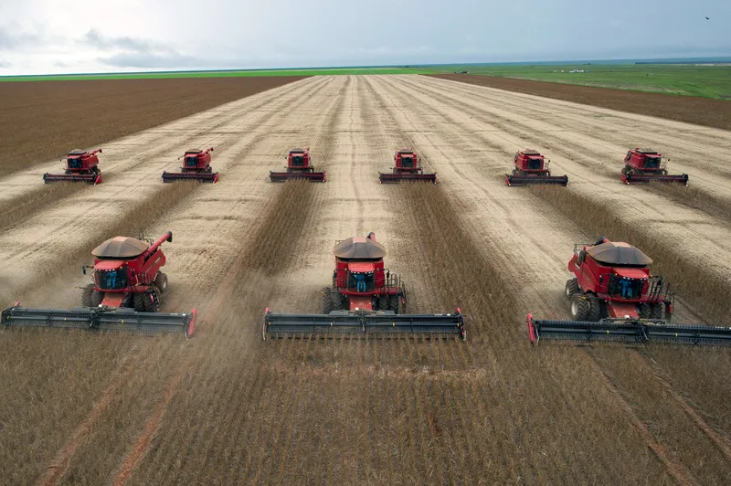 Segundo o relatório do MapBiomas, a agropecuária passou de 28% para 47% no Cerrado