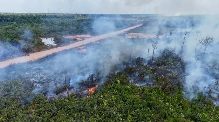 Terras não destinadas são as mais afetadas pelos incêndios na Amazônia de janeiro a agosto 