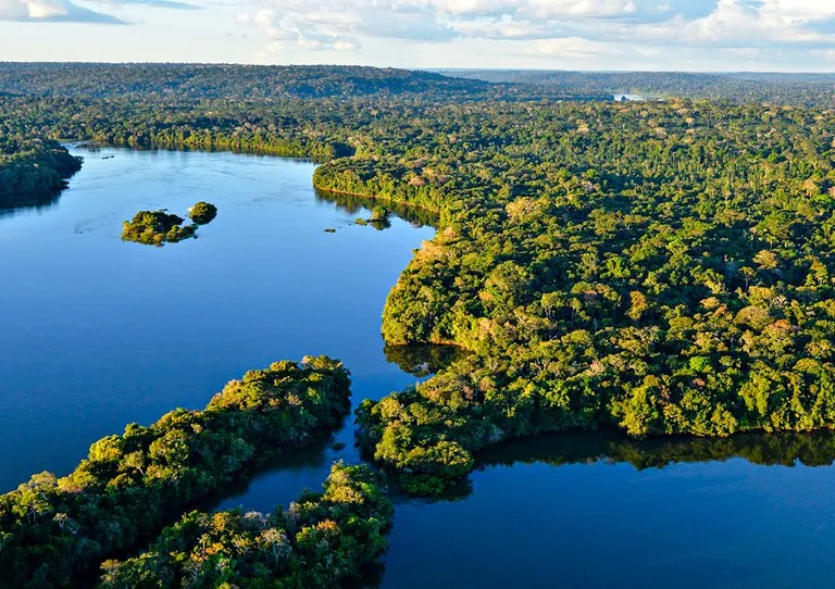 Redução do desmatamento na Amazônia faz Brasil ter maior queda em emissões nos últimos 15 anos