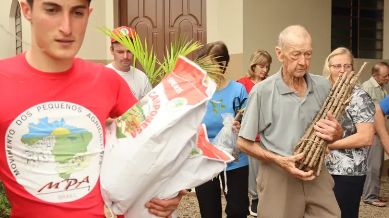 Pequenos agricultores atingidos por enchentes começam a receber sementes e mudas
