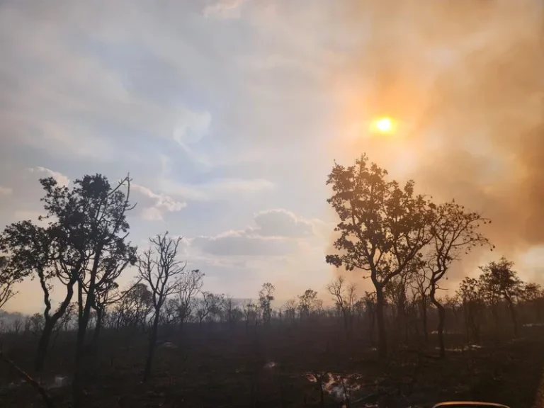Pesquisa mostra níveis severos de poluição ligada ao incêndio no Parque Nacional de Brasília