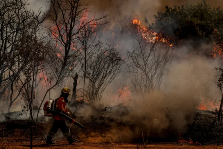 'O clima mudou, o Congresso Nacional também precisa mudar', diz diretora da SOS Mata Atlântica