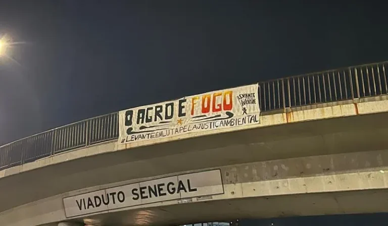 Adoecer, curar, lucrar: a influência do setor privado na saúde