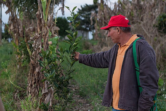 A família do agricultor Antonio Capitani está entre as 84 que possuem hortas orgânicas certificadas no Assentamento Contestado