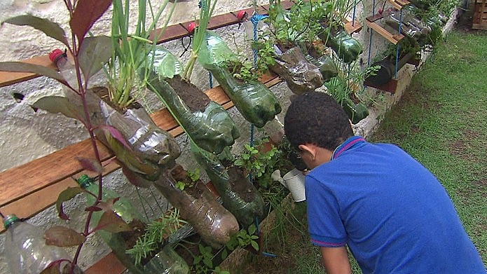 As hortas urbanas proporcionam o fortalecimento da vida comunitária e o aproveitamento de áreas urbanas até então inutilizadas